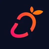 Studio Mango Iceland Studio Mango Iceland