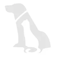 Capeway Veterinary Hospital Capeway Veterinary Hospital