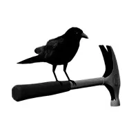 Crows Crows Crows Crows Crows Crows