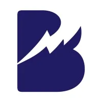 Brand Surge Marketing