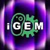 iGEM Innovation iGEM Innovation