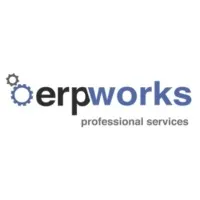 Erpworks Professional Services