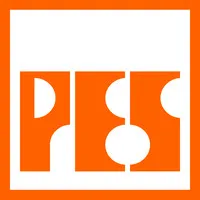 Pakistan Engineering Services (Pvt.) Ltd email format