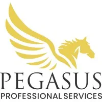 Pegasus Professional Services, LLC Pegasus Professional Services, LLC
