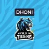 Kochi Blue Tigers