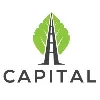Capital Consulting Solutions