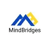 MindBridges MindBridges