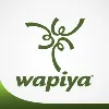 Wapiya Consultoria em Recursos Humanos Wapiya Consultoria em Recursos Humanos
