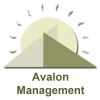 The Avalon Management Group, Inc.