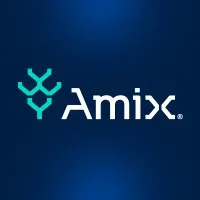 AMIX Serviços de Informática