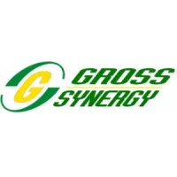 Gross Synergy Sdn Bhd