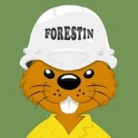 Incendios Forestales/CONAF