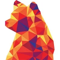 Kodeak Digital Marketing Experts