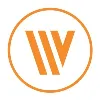 Wireless Vision