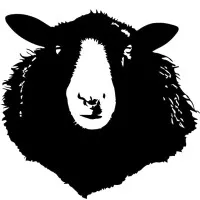 Black Sheep Casting Black Sheep Casting