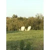 Formerly bellamy and Watson fields