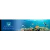 Coast Tropicals Coast Tropicals