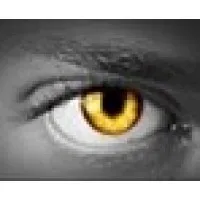 Citywide Investigations