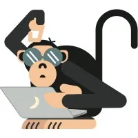 Monkeys Team