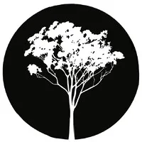Darwin Health Group