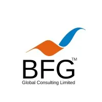 BFG Global Consulting, LLC.