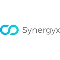 Synergyx Consulting - Synergyx Conseils Synergyx Consulting - Synergyx Conseils