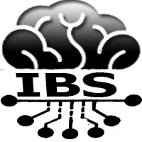 IBS Pakistan IBS Pakistan
