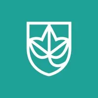 Ivy Wealth Partners