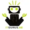 ITGURUS.AE ITGURUS.AE