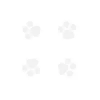 After Hours Animal Hospital