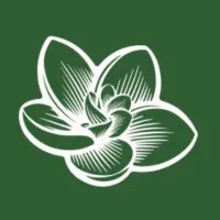Magnolia Collective Wellness