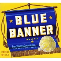 Blue Banner Company Inc Blue Banner Company Inc