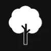 Camphor Camphor