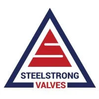 STEELSTRONG VALVES (I) PVT LTD
