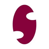 Prague Security Studies Institute