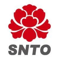 SNTO Holdings Group Limited SNTO Holdings Group Limited