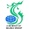 BILSEA INTERNATIONAL PTE LTD