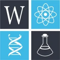 The Weinberg Group