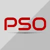 The Professional Sales Organization The Professional Sales Organization