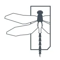 Haley Strategic Partners