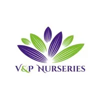V&P Nurseries V&P Nurseries
