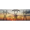 Excel Network, LLC Excel Network, LLC