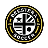 Beestera Soccer