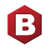 Bright Silicon Technologies Bright Silicon Technologies