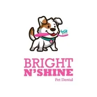 Bright N' Shine Pet Dental