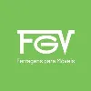 FGV Brasil FGV Brasil