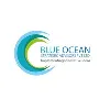 Blue Ocean Strategic Advisors Pvt. Ltd Blue Ocean Strategic Advisors Pvt. Ltd