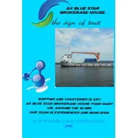AK BLUE STAR BROKERAGE HOUSE