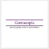 H R Cornucopia Pvt Ltd