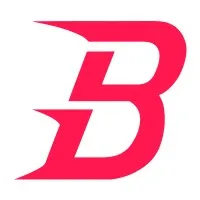 Bolis Media